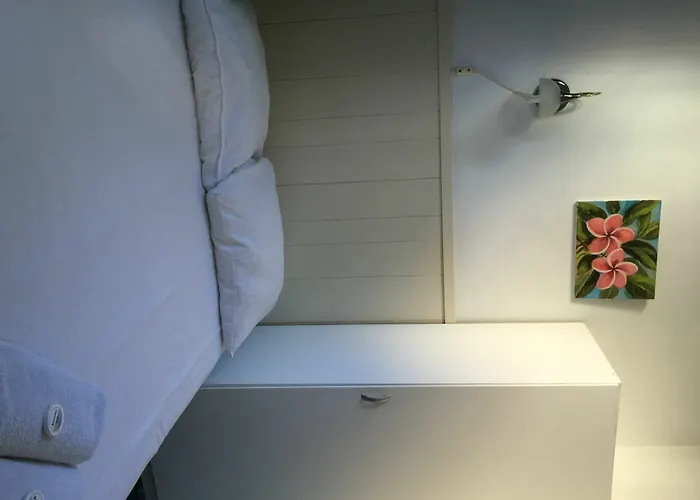 Euphemia Budget Old Canal Zone * Ámsterdam